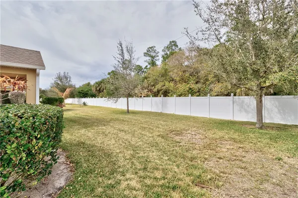 a view of yard and tree
