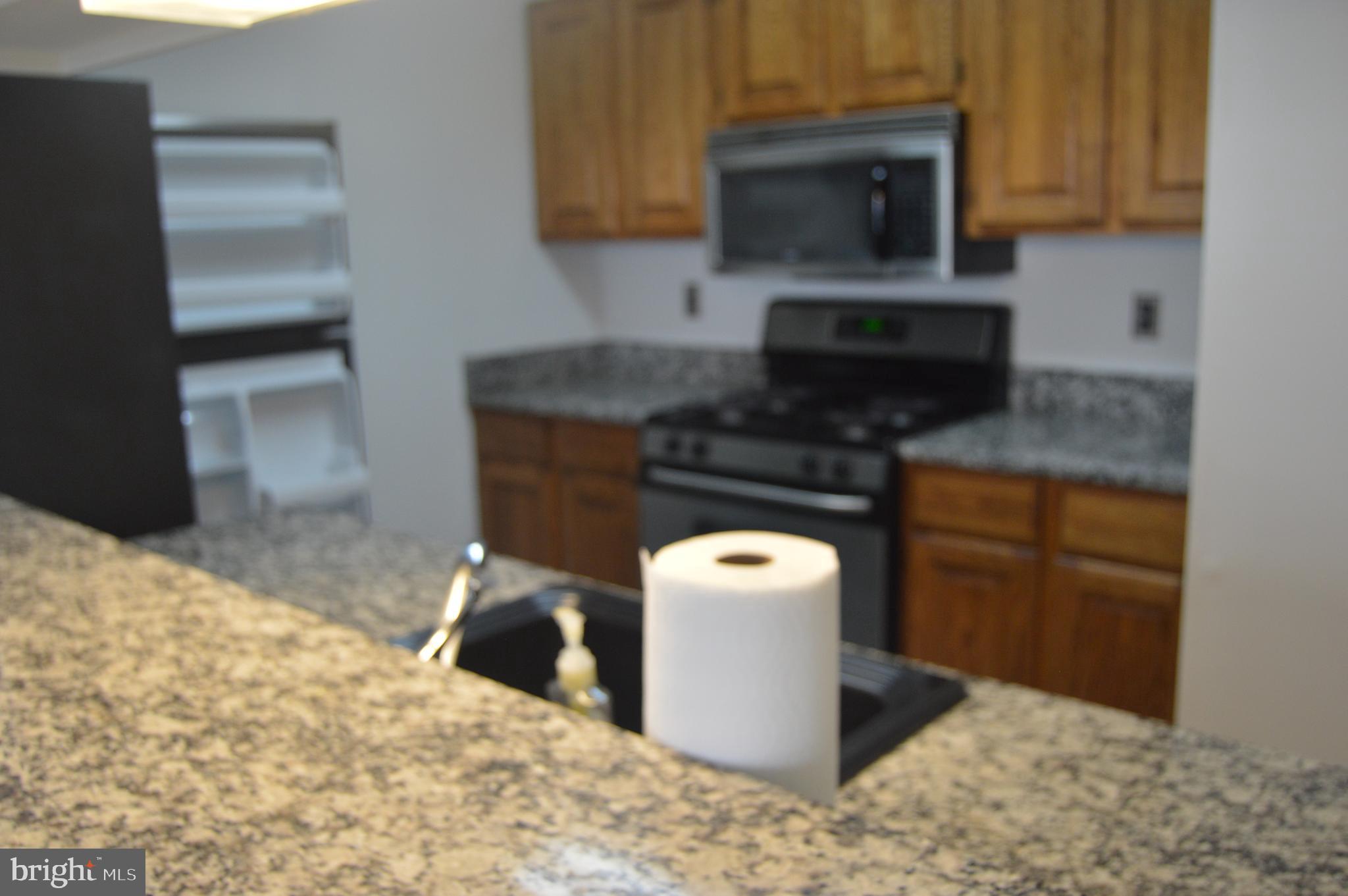 20951 Timber Ridge Terrace, Unit 103 Ashburn, VA 20147 - Photo 7 of 22 Gallery Image 7