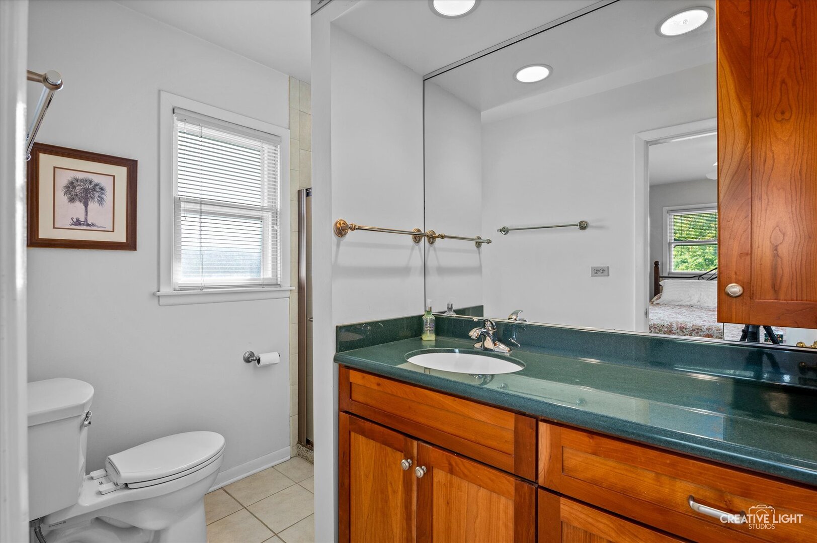 713 Burning Tree Lane Naperville, IL 60563 - Photo 23 of 35 a bathroom with a granite countertop sink a toilet and mirror