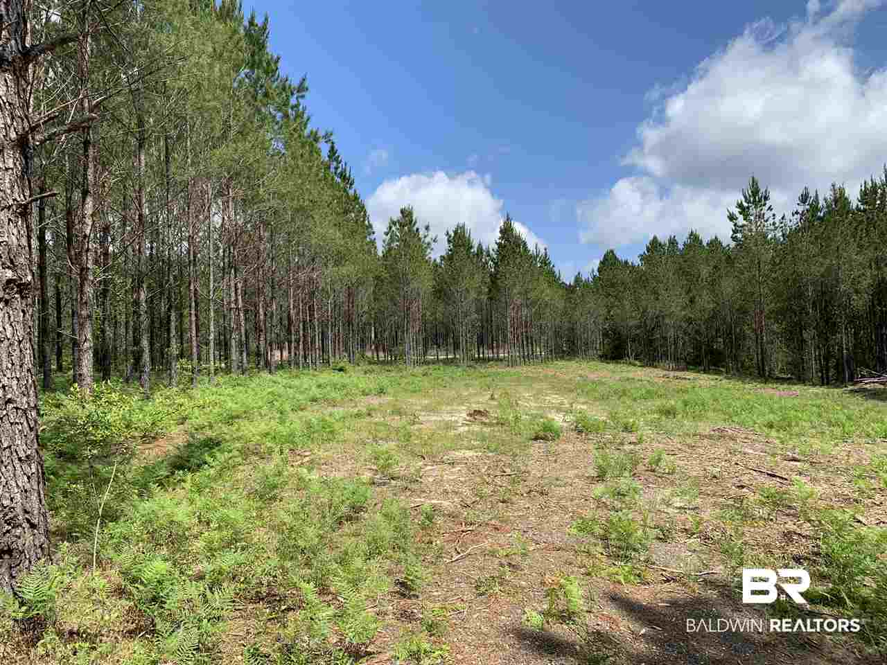 31810 Happy Hollow Road Robertsdale, AL 36567 - Photo 3 of 7
