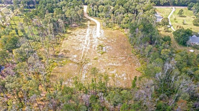 51034 George Road Tickfaw, LA 70466 - Photo 10 of 12
