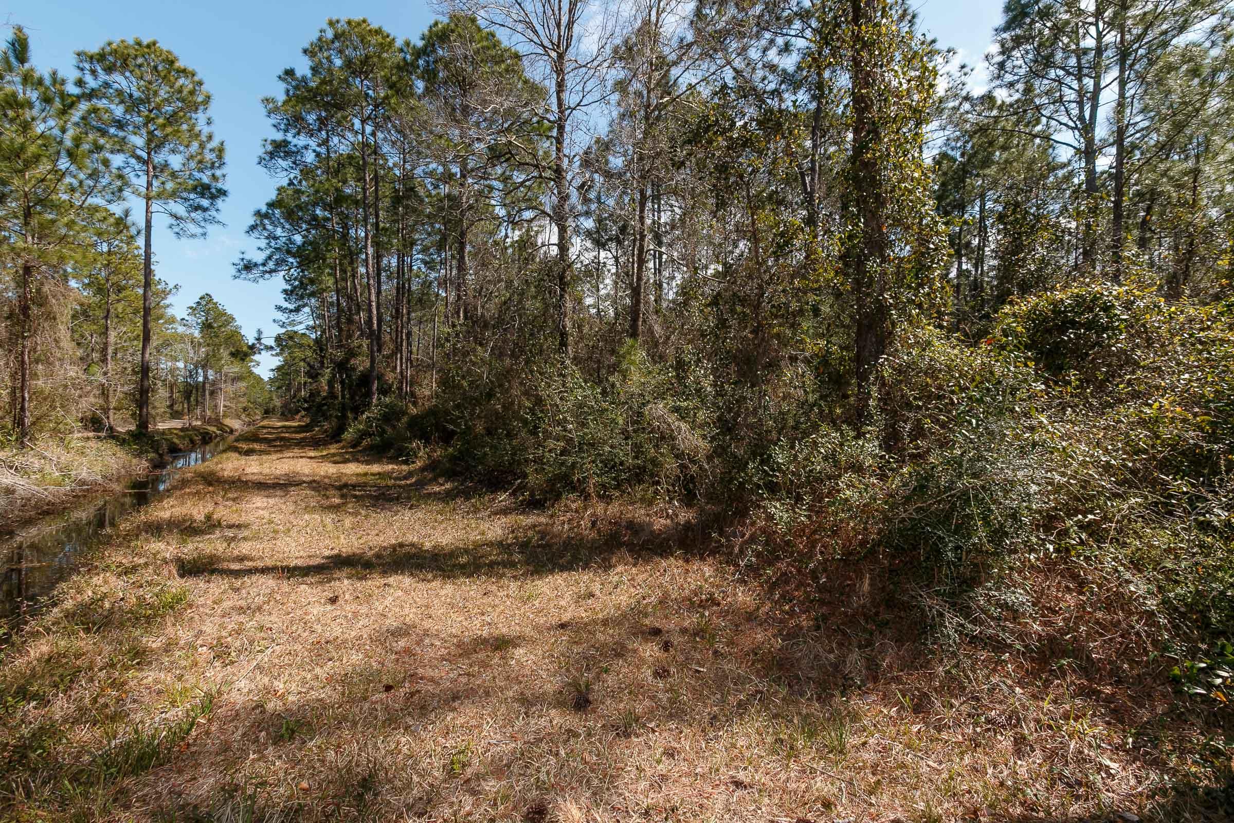 1616 Indian Woman Road Santa Rosa Beach, FL 32459 - Photo 24 of 35 Indian Woman Rd_McGee_2016_03_08_197