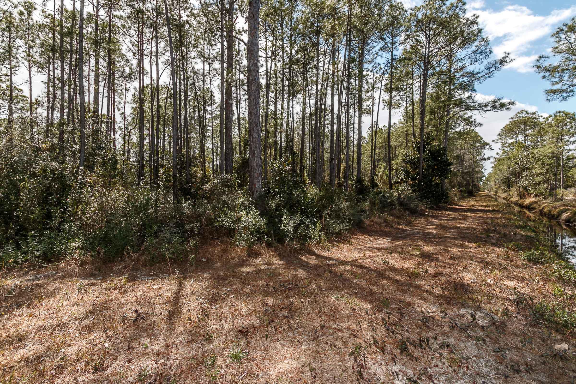 1616 Indian Woman Road Santa Rosa Beach, FL 32459 - Photo 25 of 35 Indian Woman Rd_McGee_2016_03_08_201