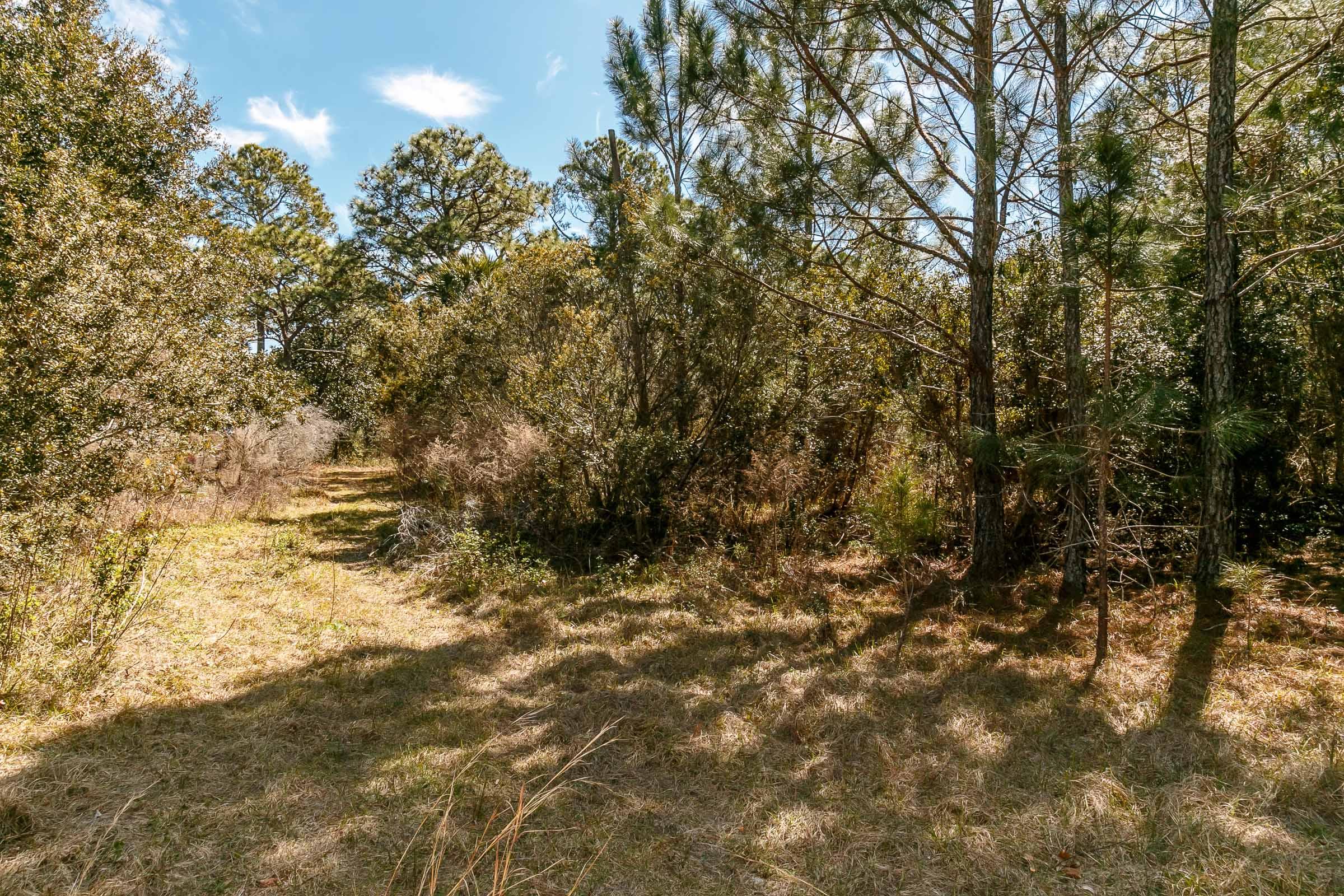 1616 Indian Woman Road Santa Rosa Beach, FL 32459 - Photo 4 of 35 Indian Woman Rd_McGee_2016_03_08_138