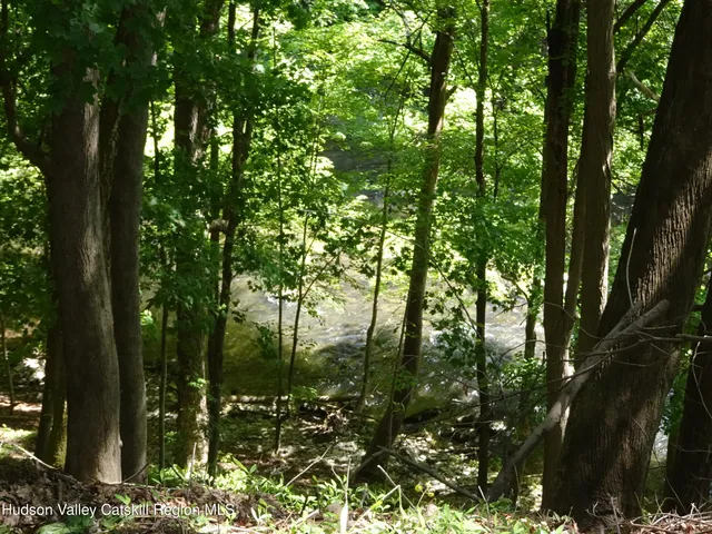a view of a yard with large trees