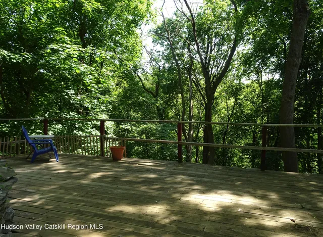a view of a forest with trees in the background