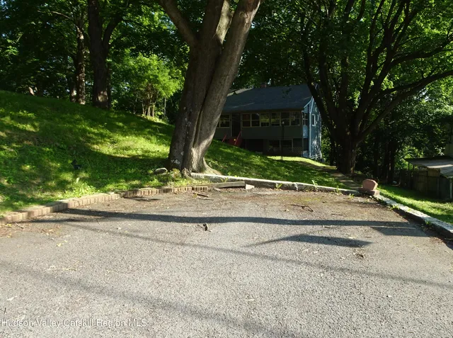a view of a forest with trees