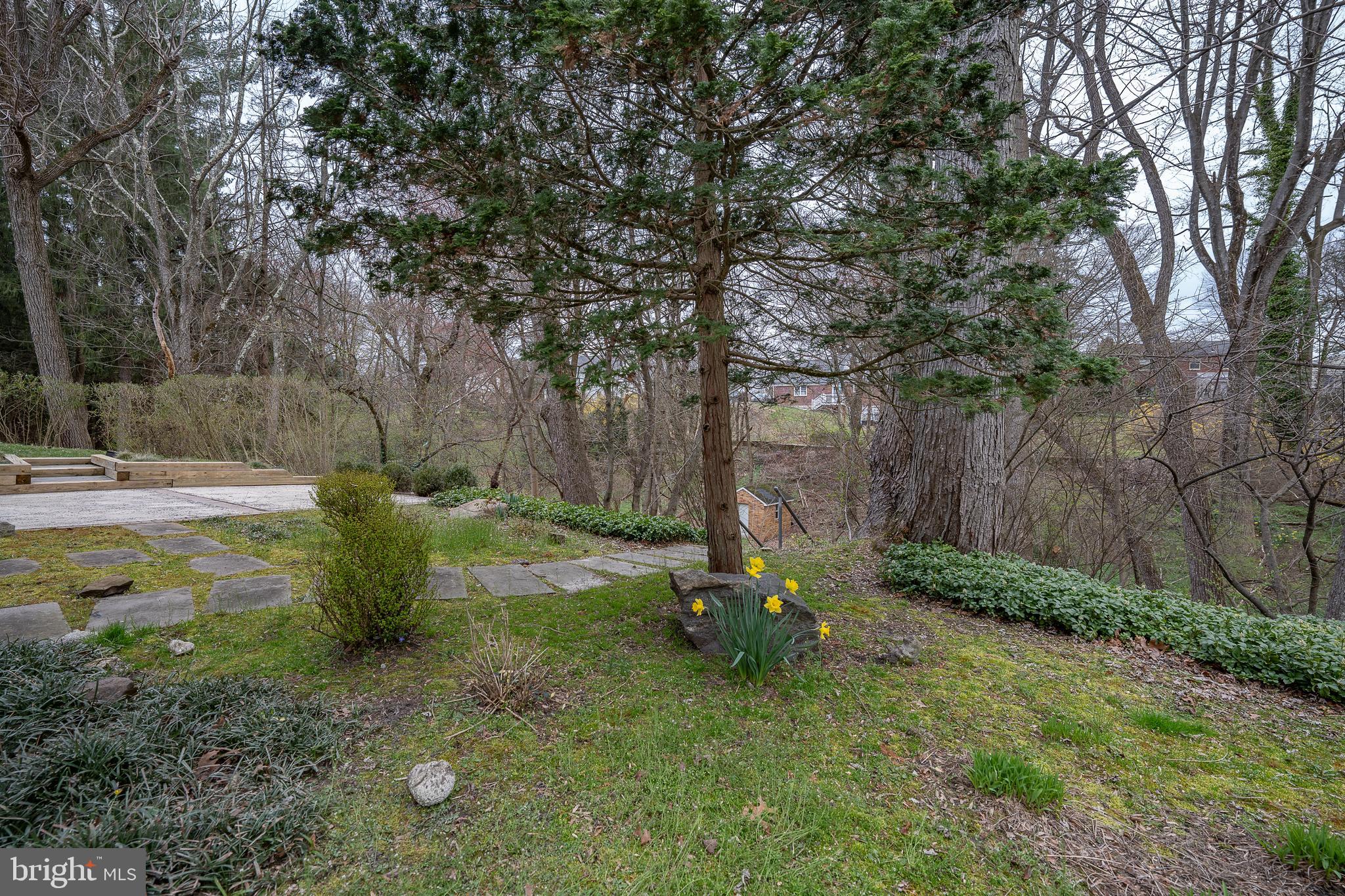 107 Cove Road Broomall, PA 19008 - Photo 33 of 41 Rear Grounds off of patio
