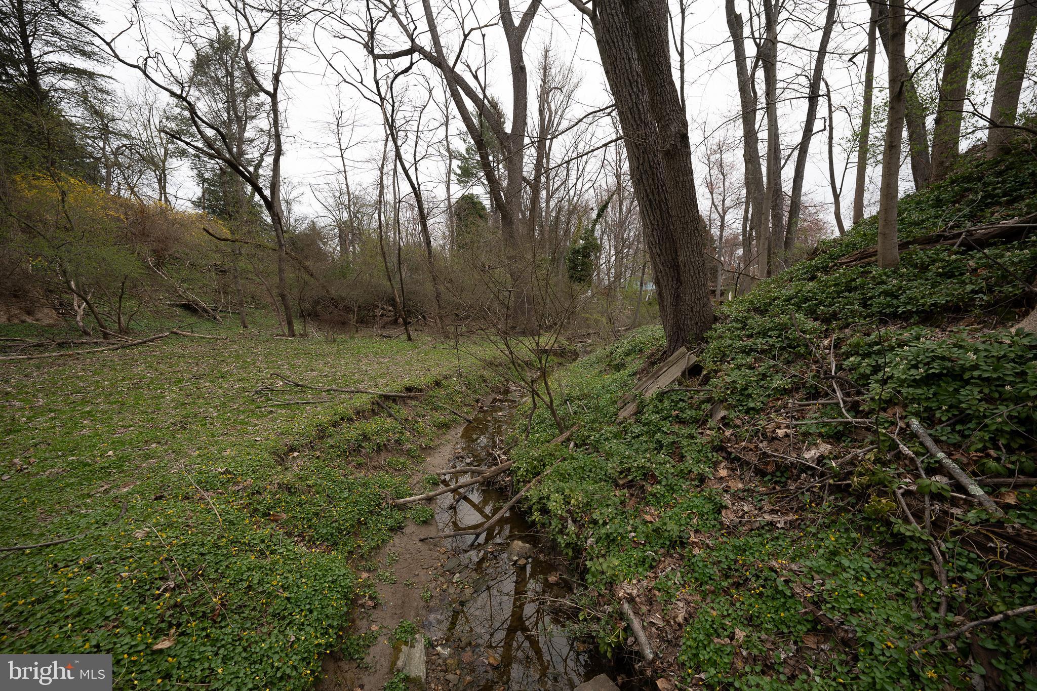 107 Cove Road Broomall, PA 19008 - Photo 34 of 41 Creek behind house