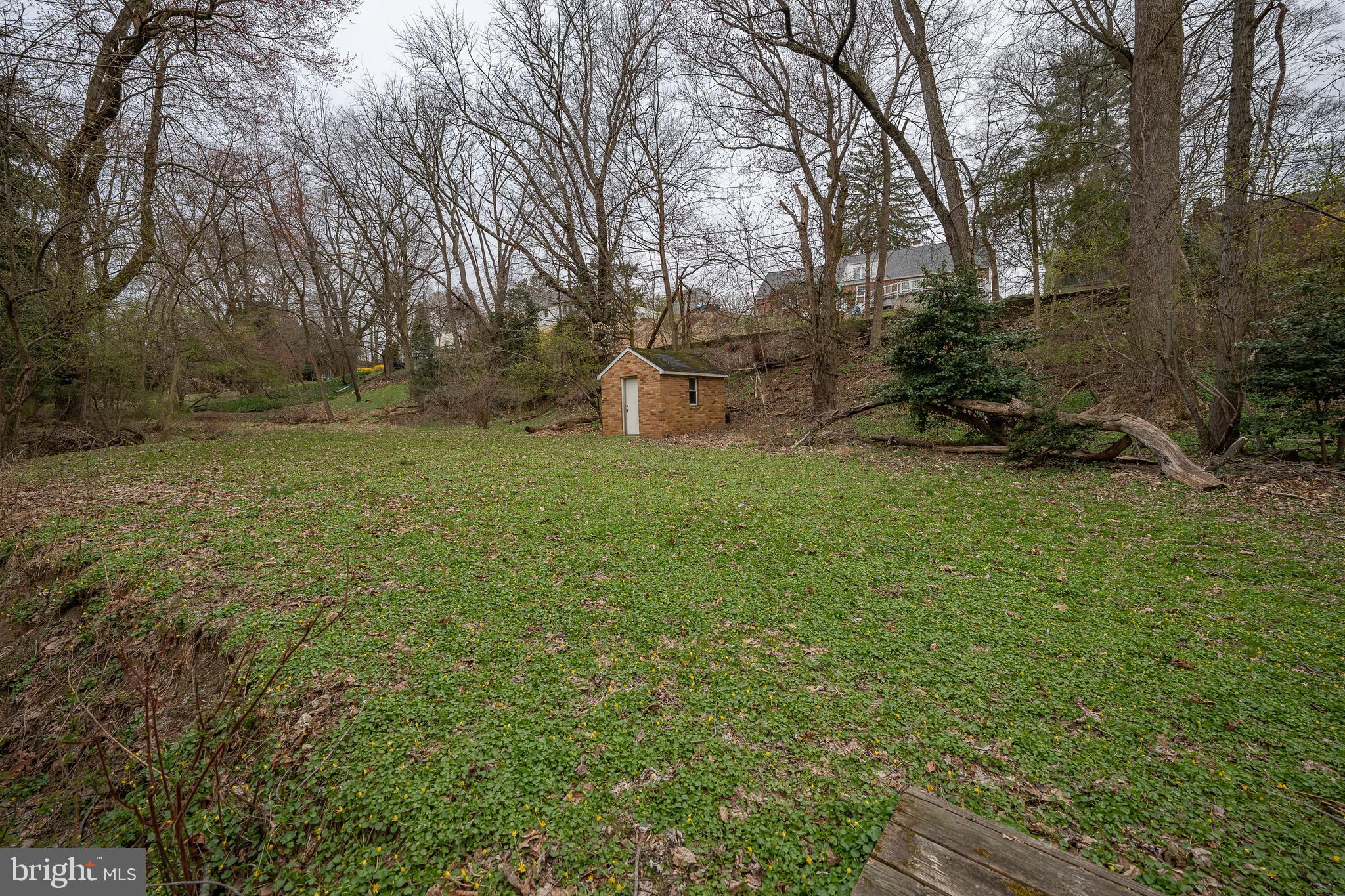 107 Cove Road Broomall, PA 19008 - Photo 35 of 41 Lower yard / shed