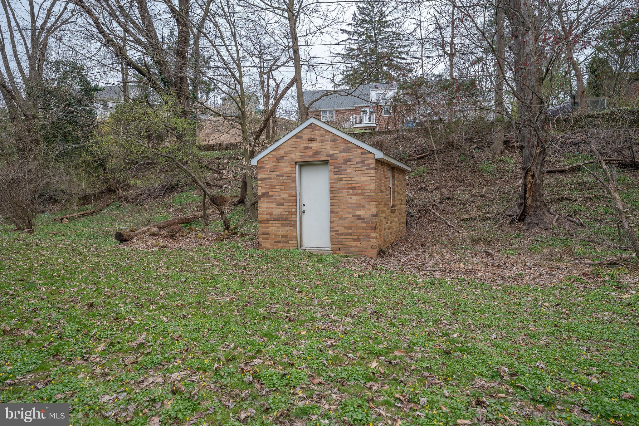 107 Cove Road Broomall, PA 19008 - Photo 36 of 41 Lower yard / shed