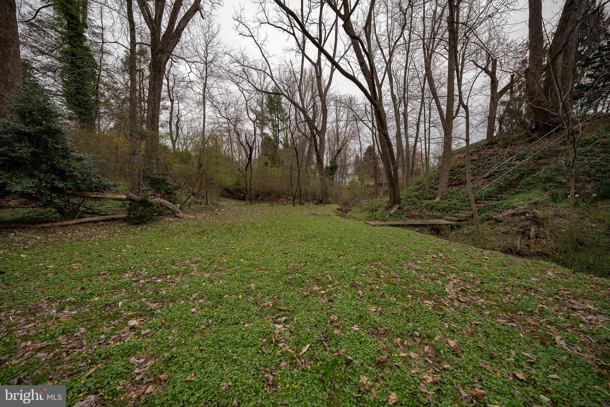 107 Cove Road Broomall, PA 19008 - Photo 37 of 41 Lower yard