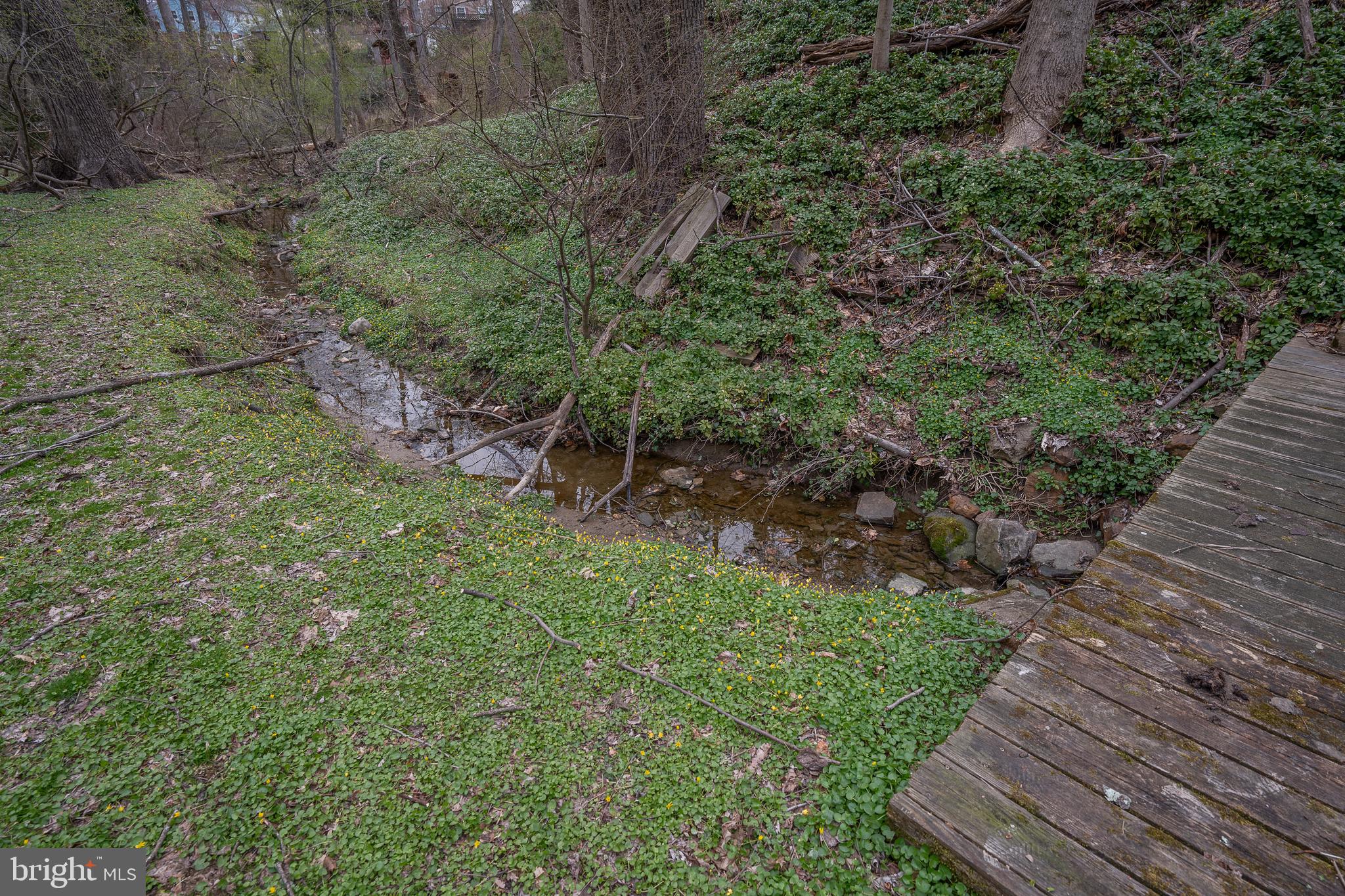 107 Cove Road Broomall, PA 19008 - Photo 39 of 41 Creek