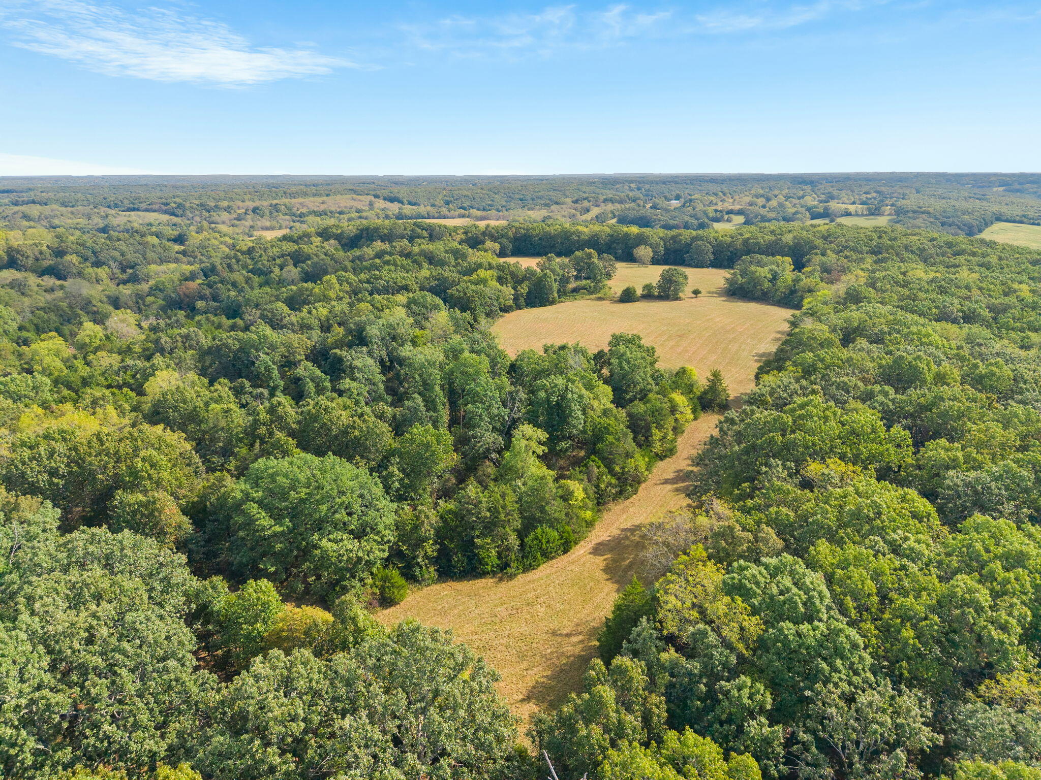 0 Bobcat Road Fordland, MO 65652 - Photo 8 of 24 000 Bobcat Rd