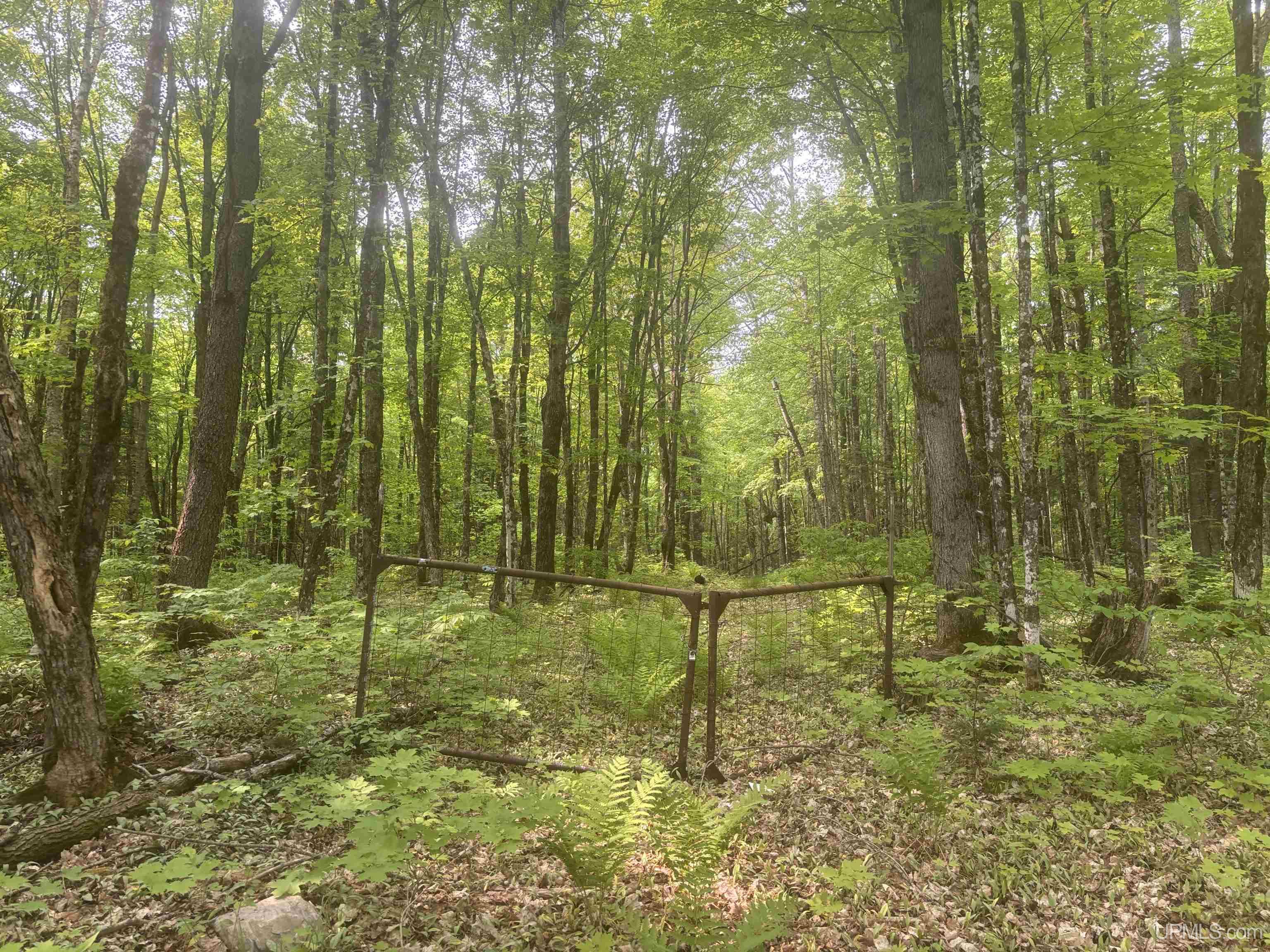Tbd Tbd Uncle Nanny Road Wakefield, MI 49968 - Photo 6 of 21