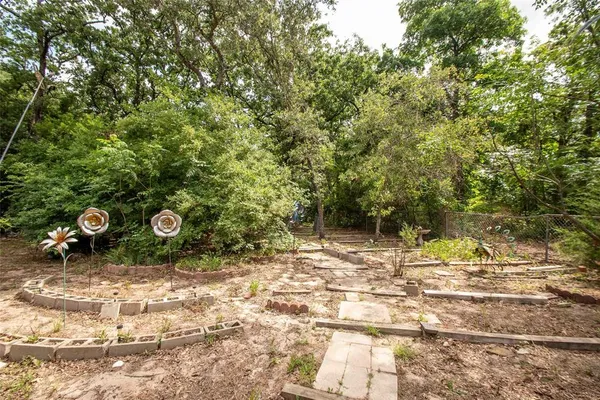 a view of a yard with plants and trees