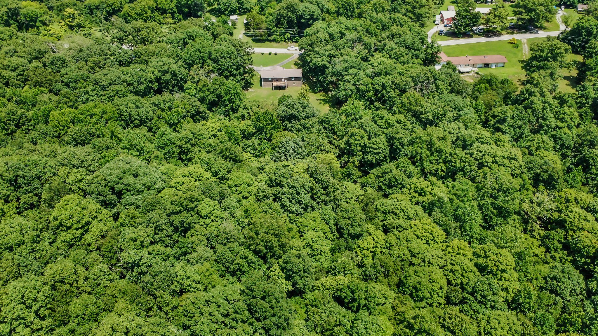 931 Bumpus Mills Road Dover, TN 37058 - Photo 48 of 53 Gallery Image 48
