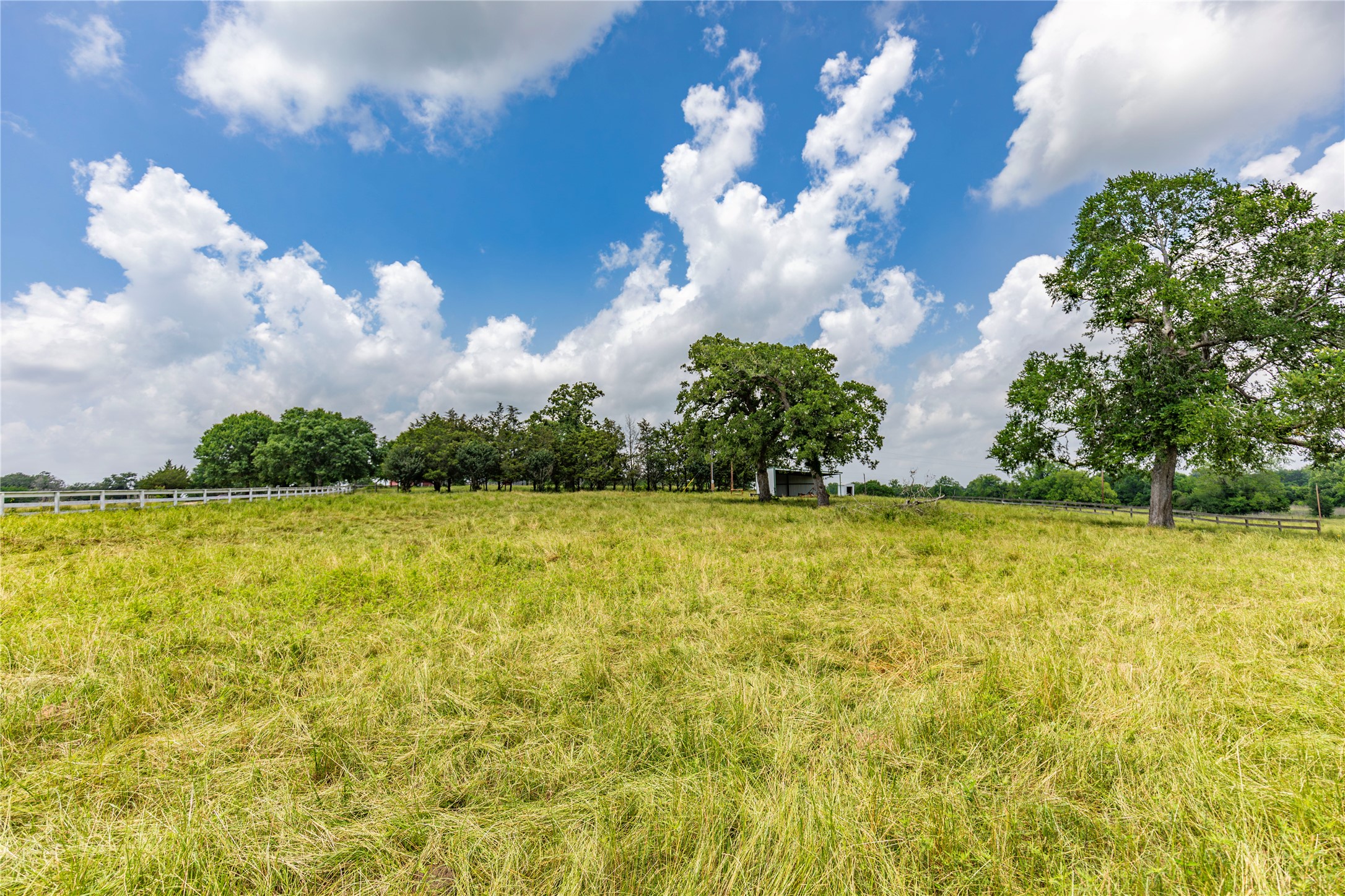 3148 Mill Creek Ranch Road Bellville, TX 77418 - Photo 5 of 13