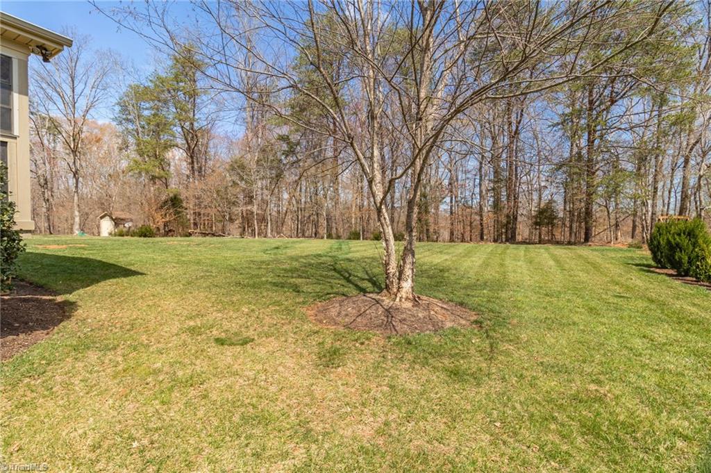 8174 Rob Roy Drive Summerfield, NC 27358 - Photo 43 of 47 Park like rear yard