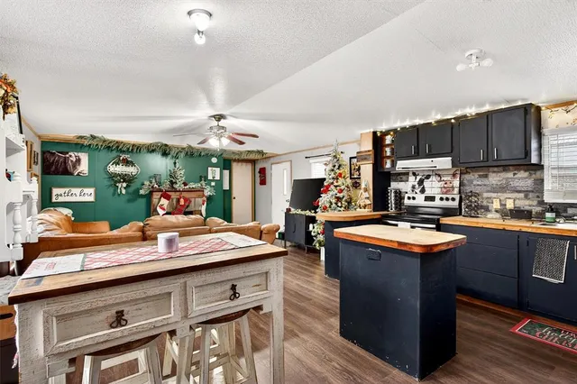 $377,000 | 2009 Sandusky Road East, Sadler, TX 76264