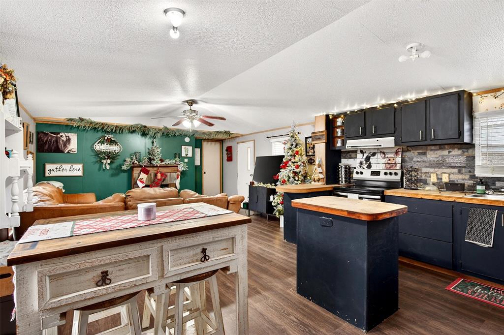 2009 Sandusky Road East Sadler, TX 76264 - Photo 32 of 39