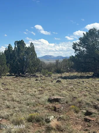 $9,500 | 201 County Road, Concho, AZ 85924