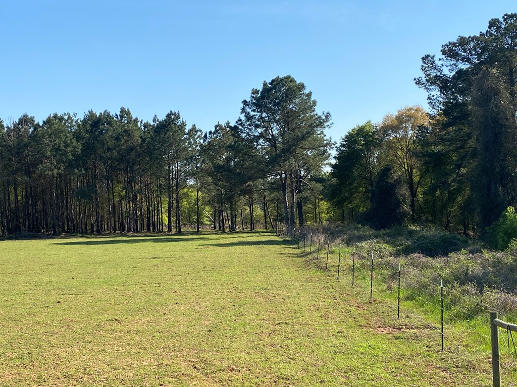 0 Co Road Abbeville, AL 36310 - Photo 17 of 53