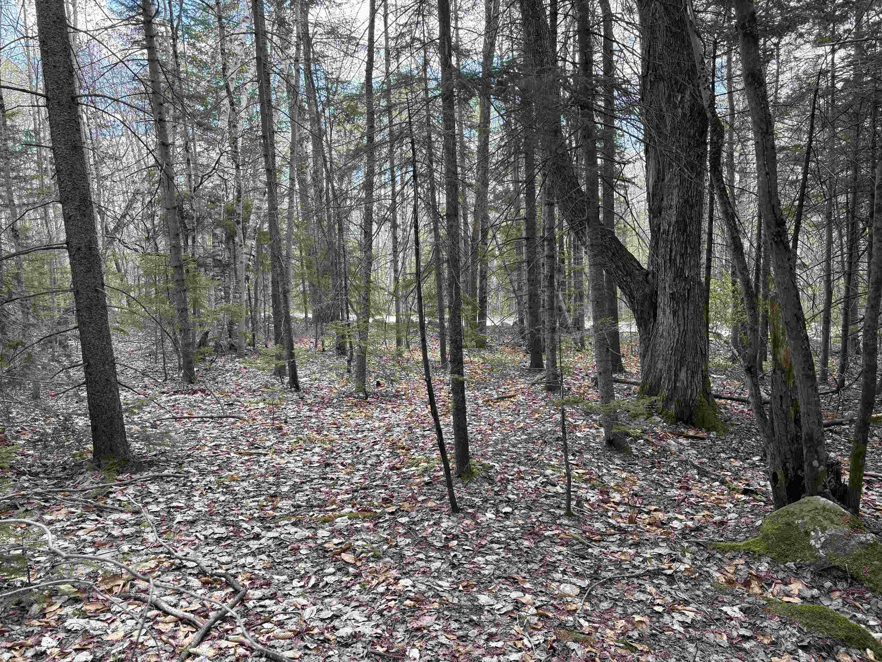 0 East Hill Road Andover, VT 05143 - Photo 8 of 17