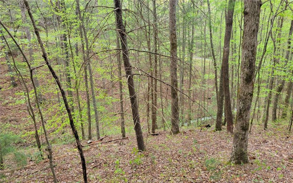 Lot27 Oak Ridge Road Ellijay, GA 30536 - Photo 11 of 12