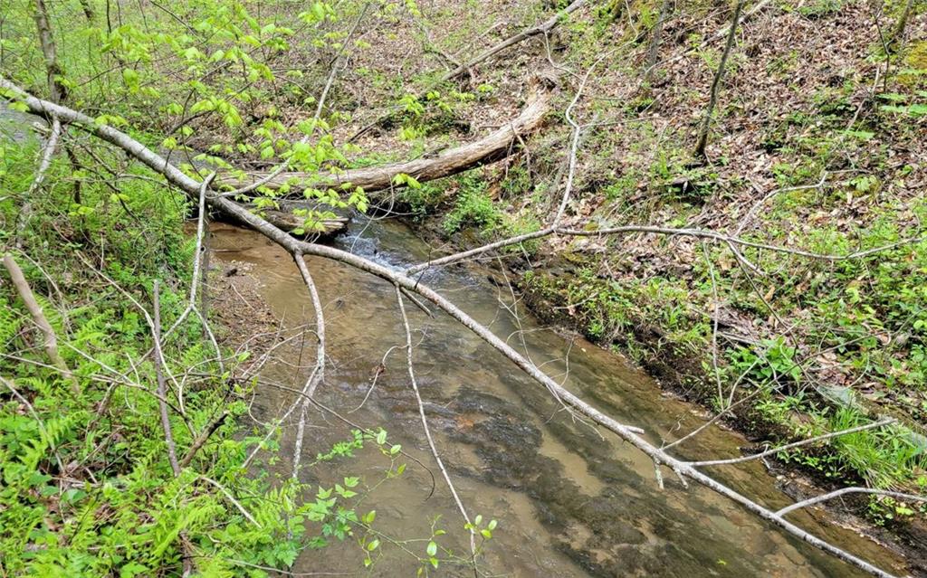 Lot27 Oak Ridge Road Ellijay, GA 30536 - Photo 12 of 12