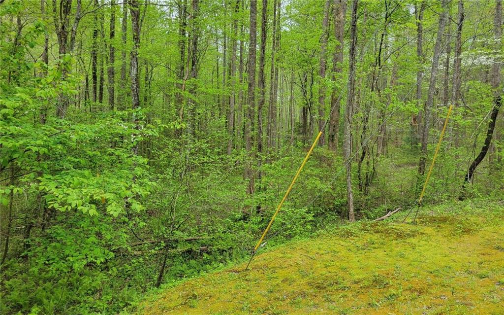 Lot27 Oak Ridge Road Ellijay, GA 30536 - Photo 4 of 12