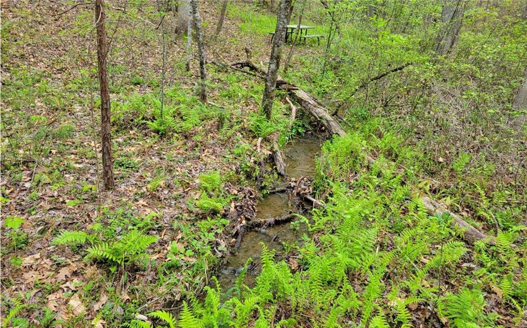 Lot27 Oak Ridge Road Ellijay, GA 30536 - Photo 5 of 12