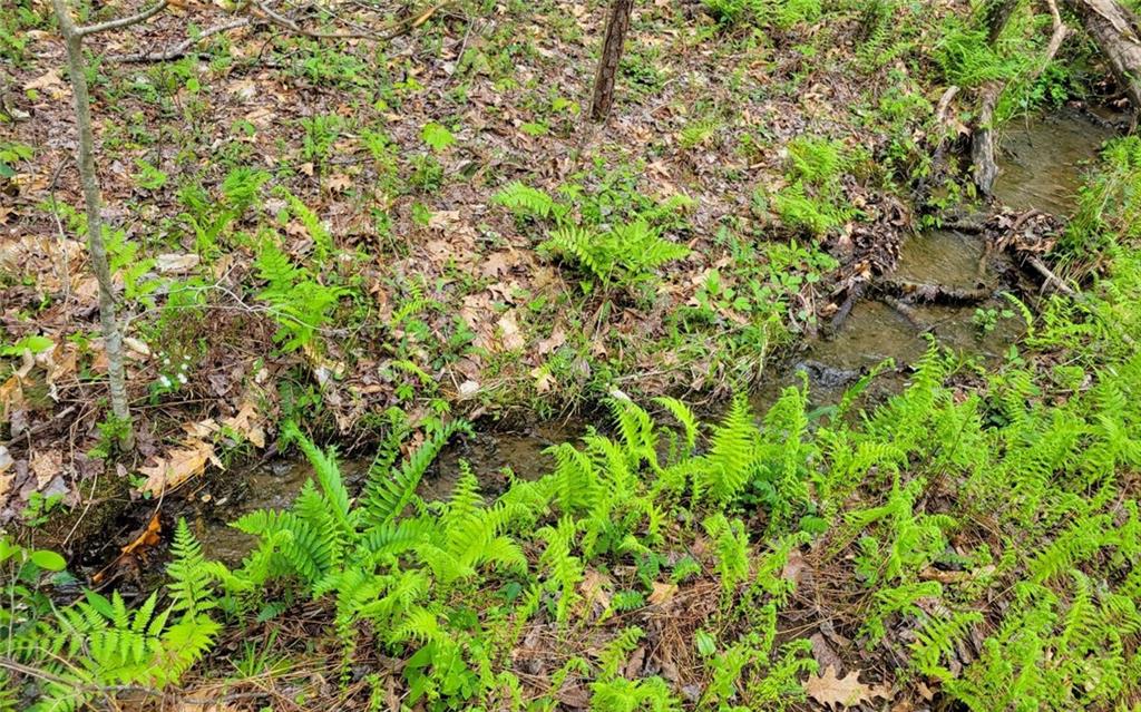 Lot27 Oak Ridge Road Ellijay, GA 30536 - Photo 6 of 12