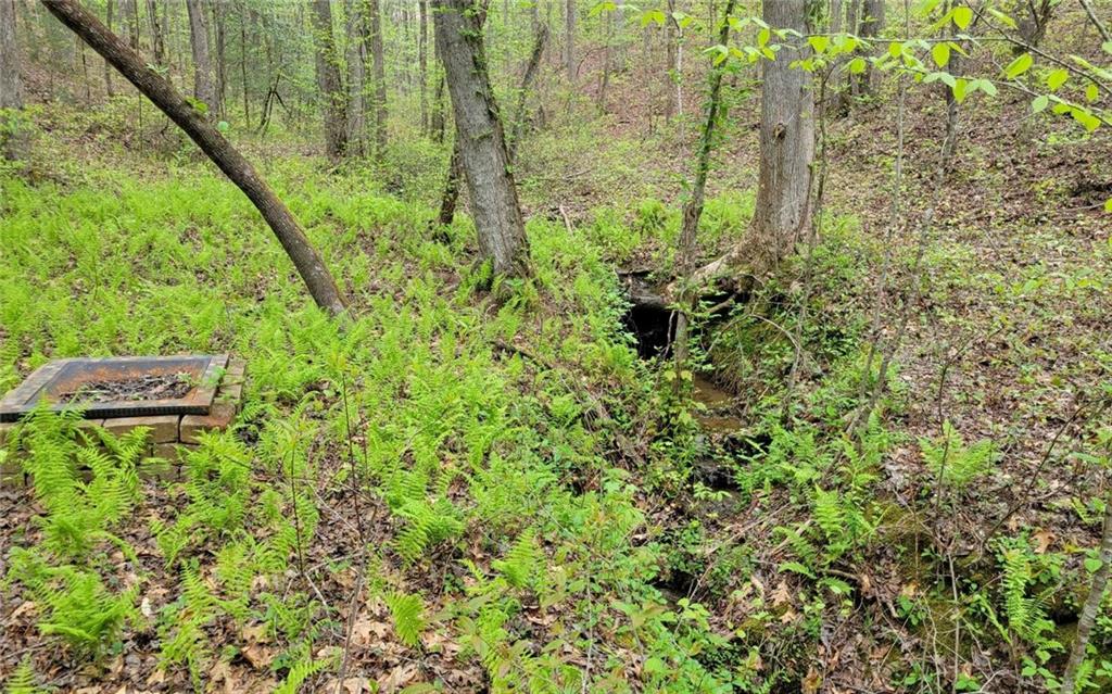 Lot27 Oak Ridge Road Ellijay, GA 30536 - Photo 7 of 12