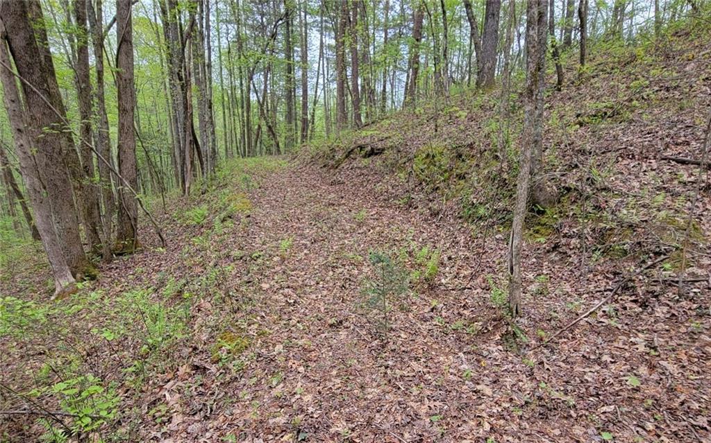 Lot27 Oak Ridge Road Ellijay, GA 30536 - Photo 8 of 12