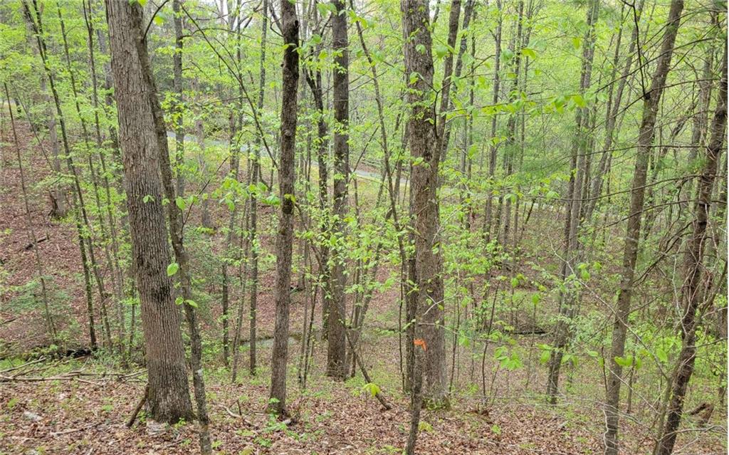 Lot27 Oak Ridge Road Ellijay, GA 30536 - Photo 9 of 12