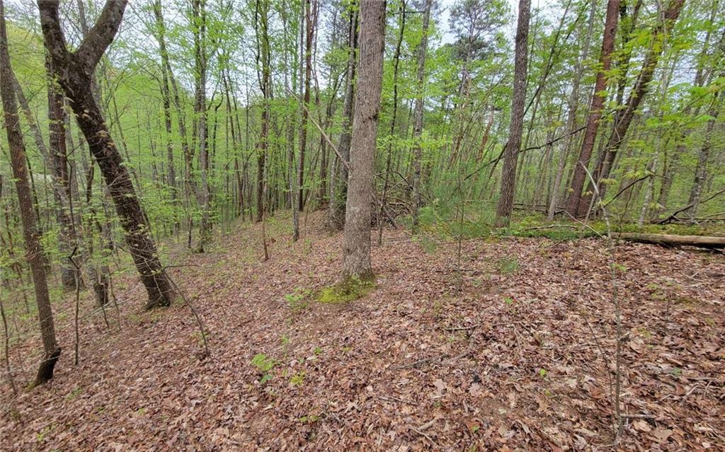 Lot27 Oak Ridge Road Ellijay, GA 30536 - Photo 10 of 12