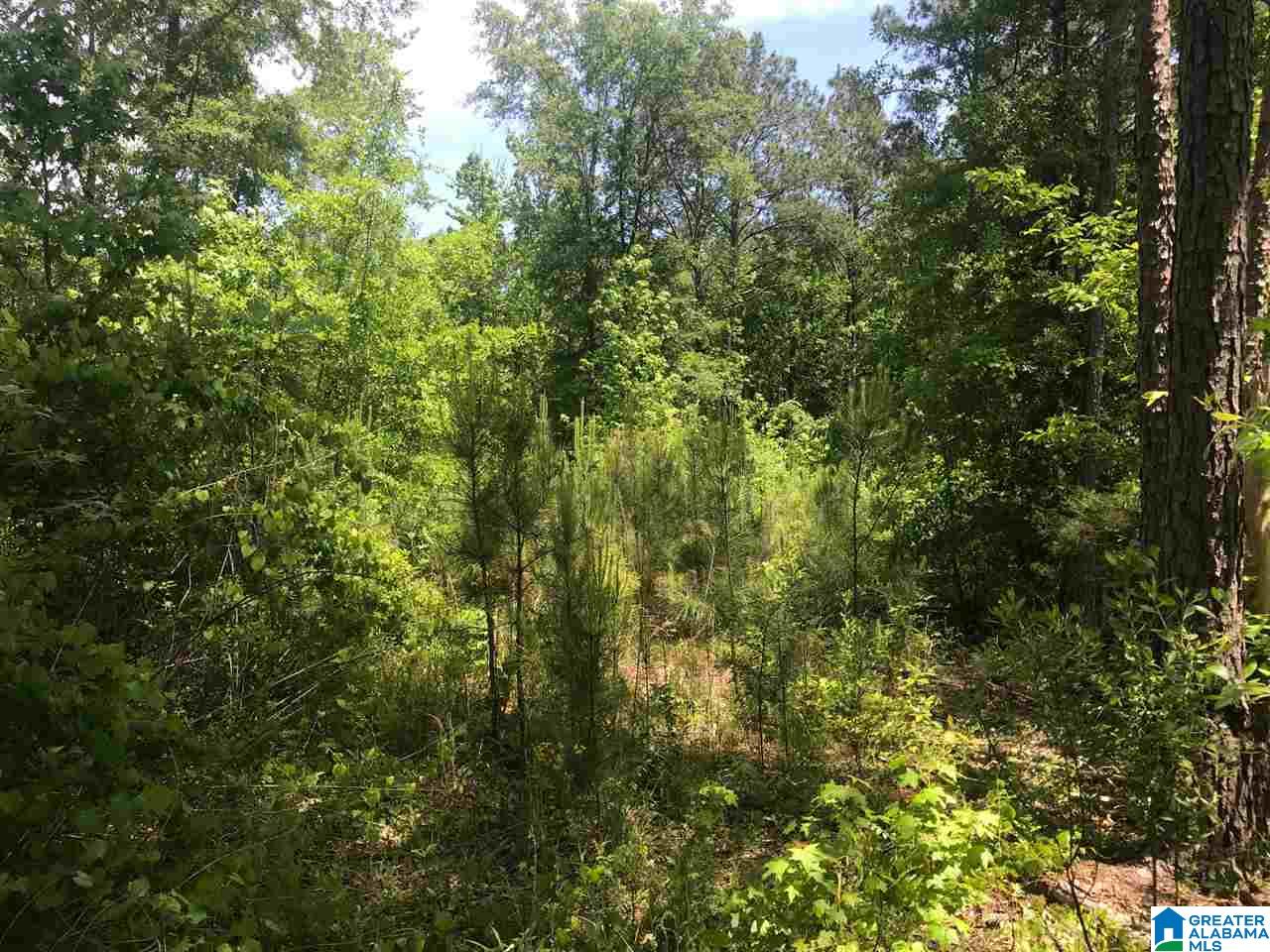 Firehouse Road, Unit 21 Goodwater, AL 35072 - Photo 8 of 21