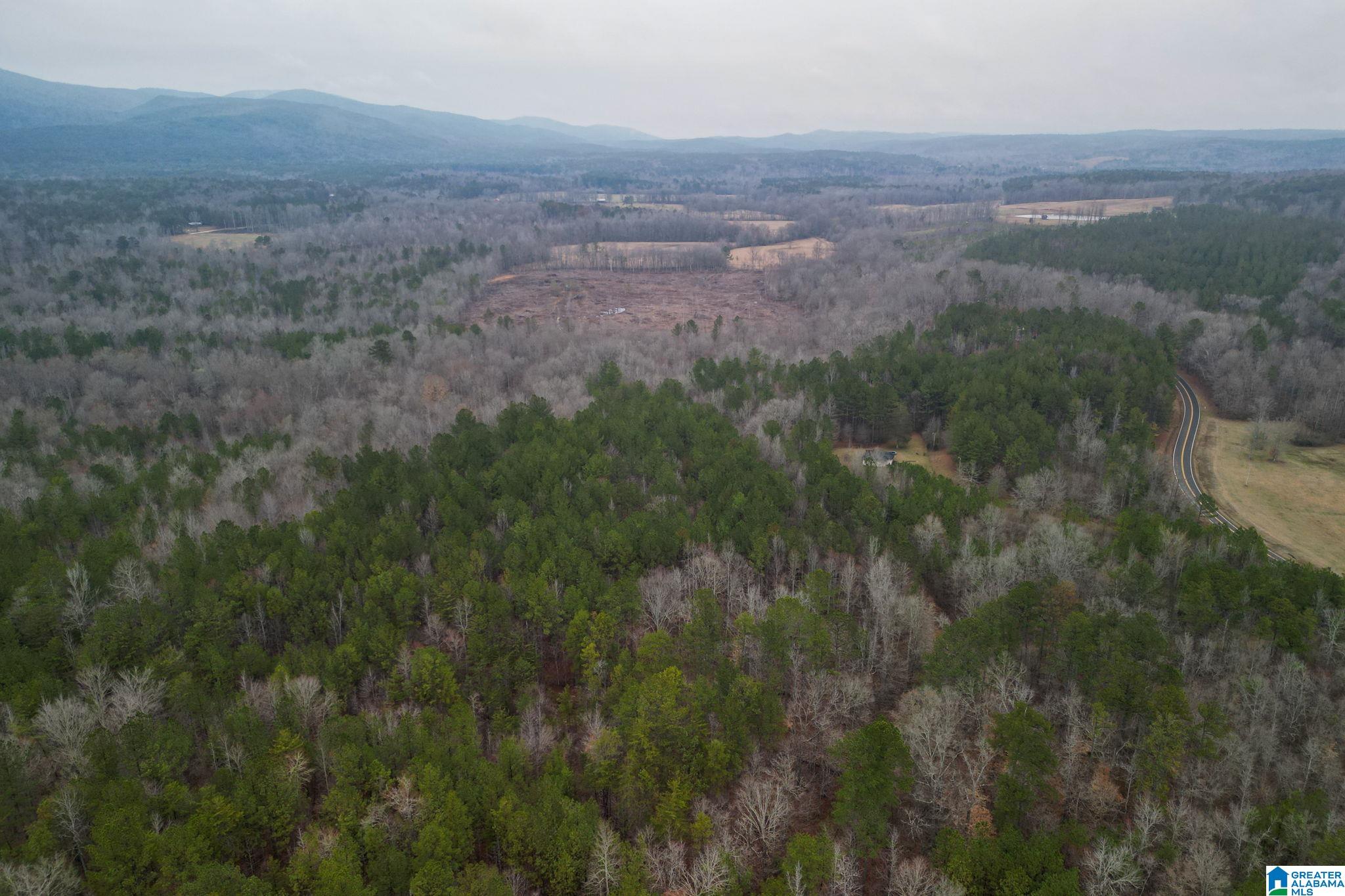 0 Highway 49 Lineville, AL 36266 - Photo 16 of 18