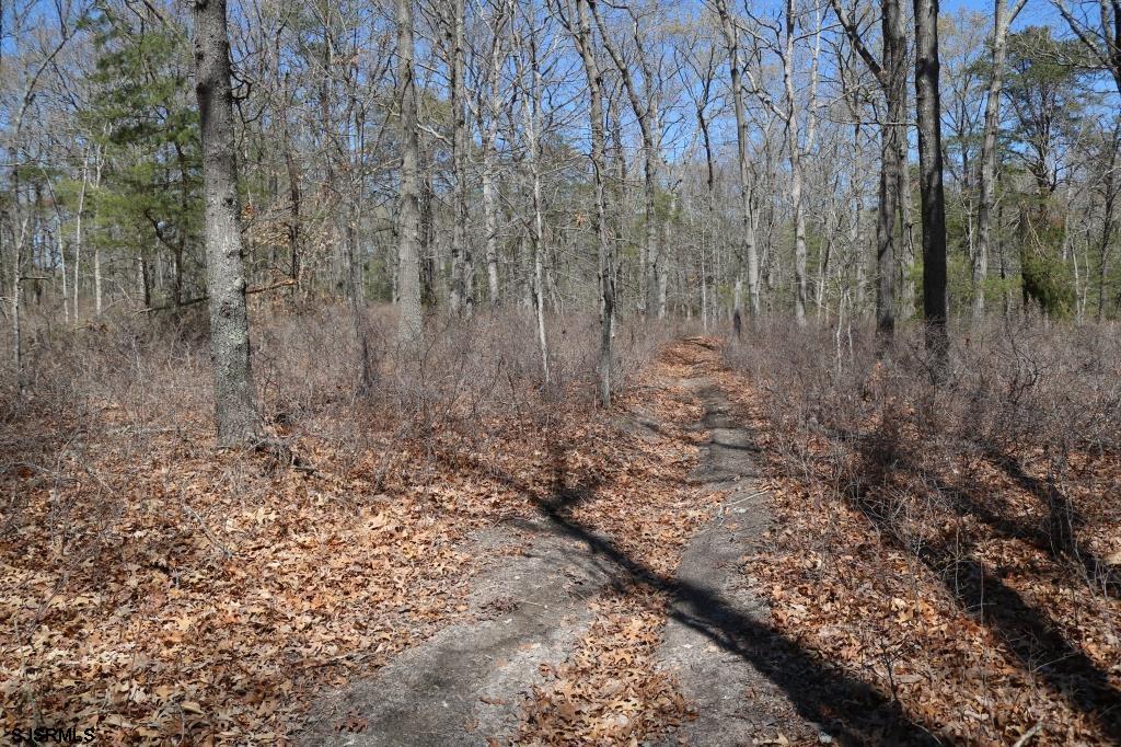 351 Shaws Mill Road Newport, NJ 08345 - Photo 16 of 84