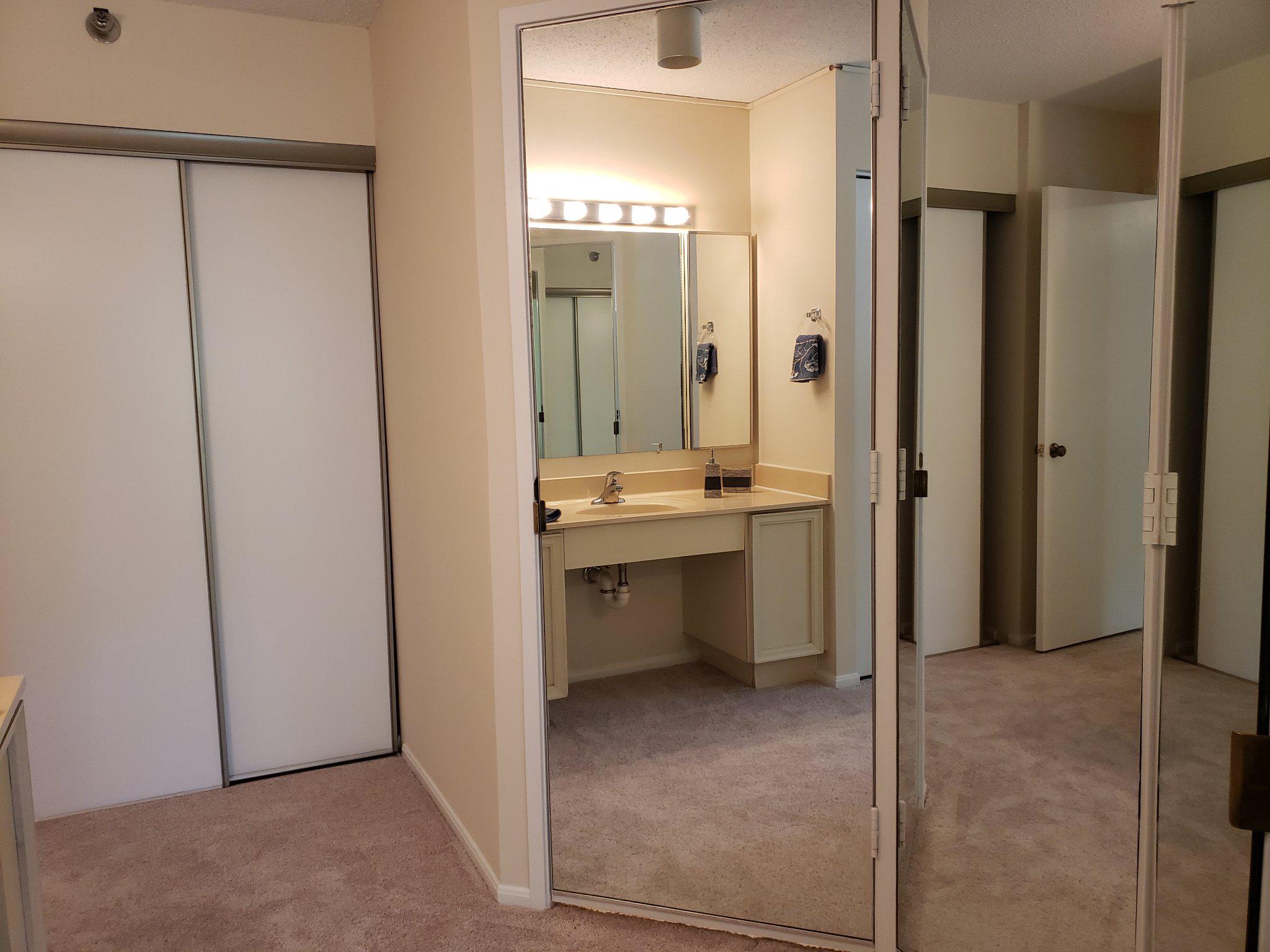 15100 Interlachen Drive, Unit 4520 Silver Spring, MD 20906 - Photo 22 of 39 Primary Bath Vanity area.