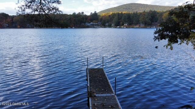 74 Reardon Road Queensbury, NY 12804 - Photo 4 of 22 Lake Front View and Dock