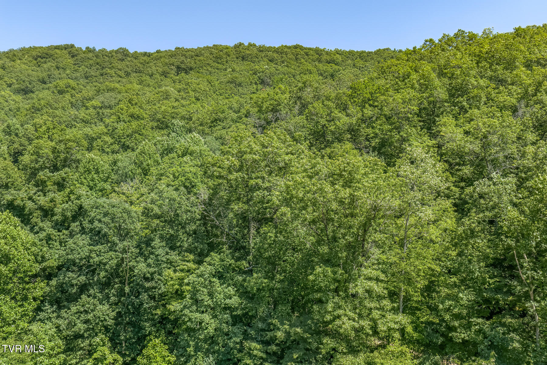 Tbd Bailey Hollow Road, Unit 4 Erwin, TN 37650 - Photo 15 of 49 TBD Bailey Hollow Rd-17