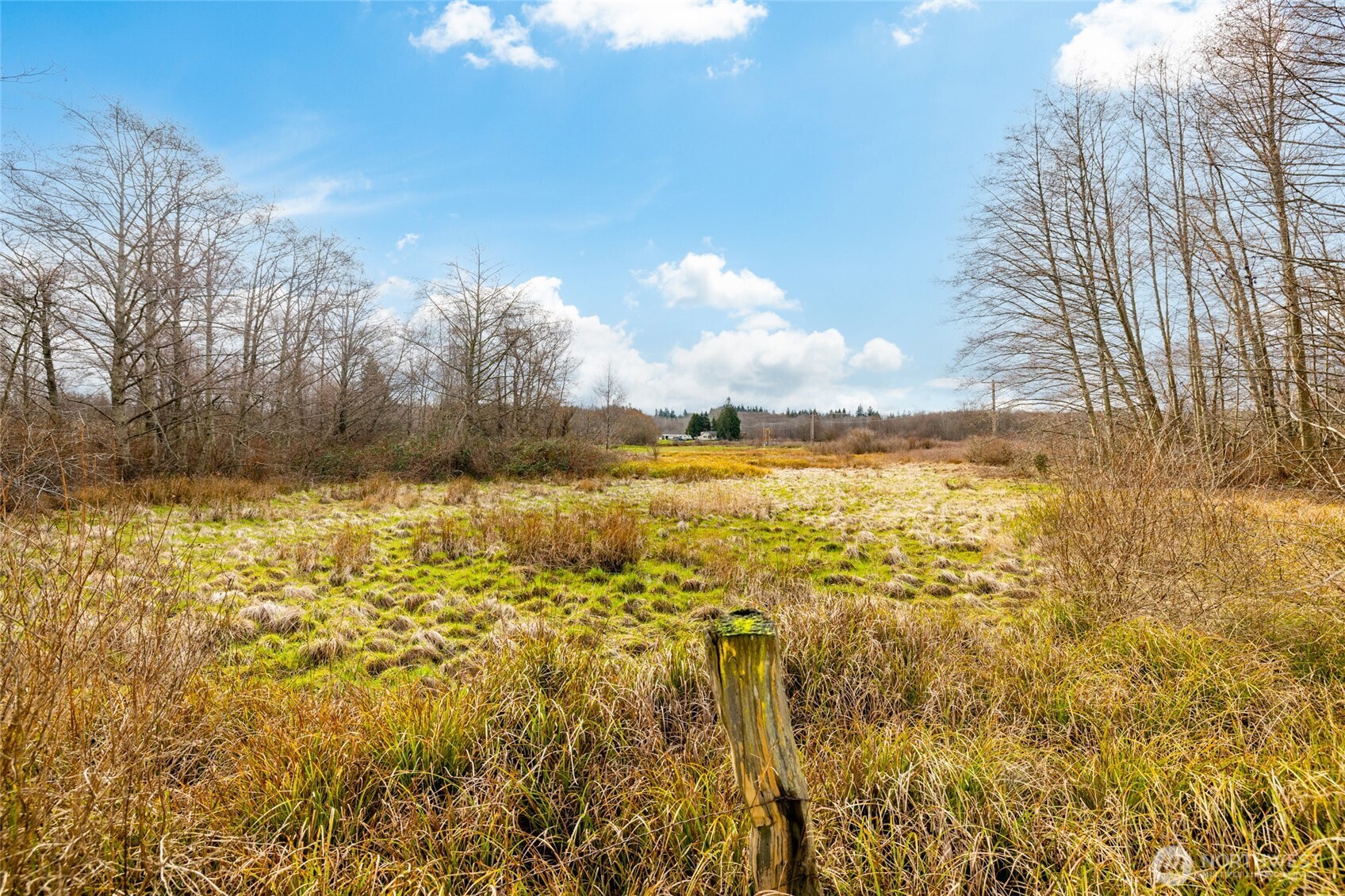 -xxx North Hoffman Road Oak Harbor, WA 98277 - Photo 4 of 5