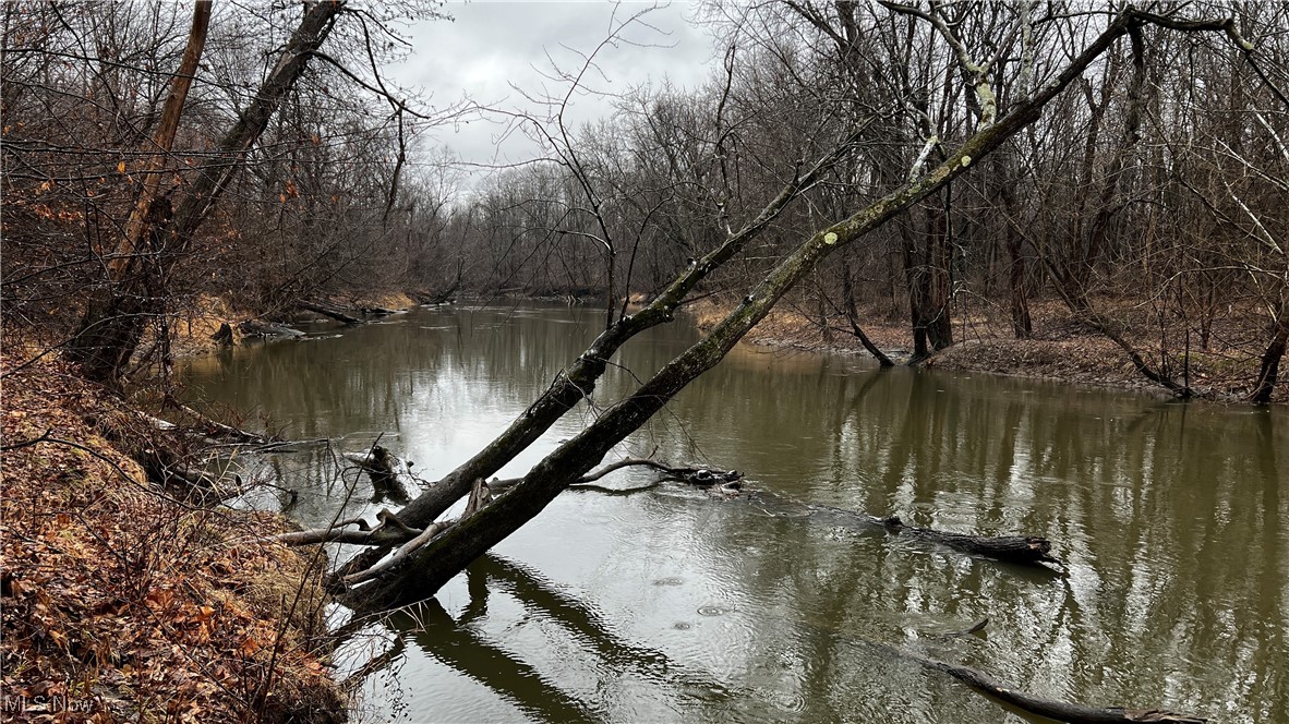 Braceville Robinson Rd Road Newton Falls, OH 44444 - Photo 2 of 50 Gallery Image 2