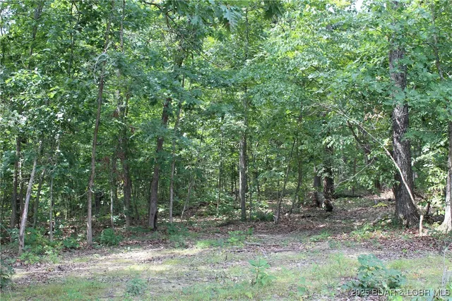 $224,500 | 8470 Spirit Lane, Versailles, MO 65084