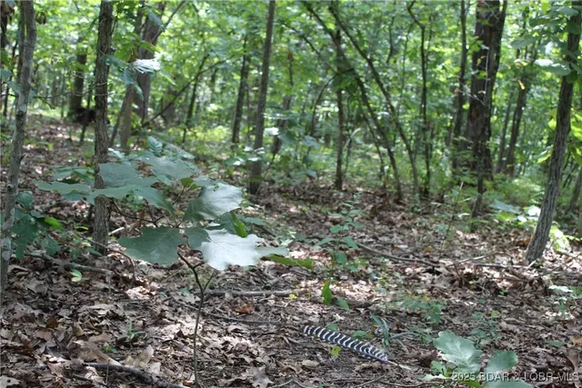 $224,500 | 8470 Spirit Lane, Versailles, MO 65084