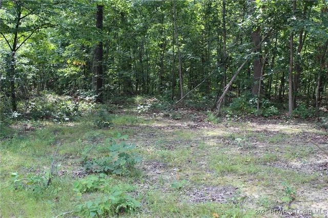 $224,500 | 8470 Spirit Lane, Versailles, MO 65084