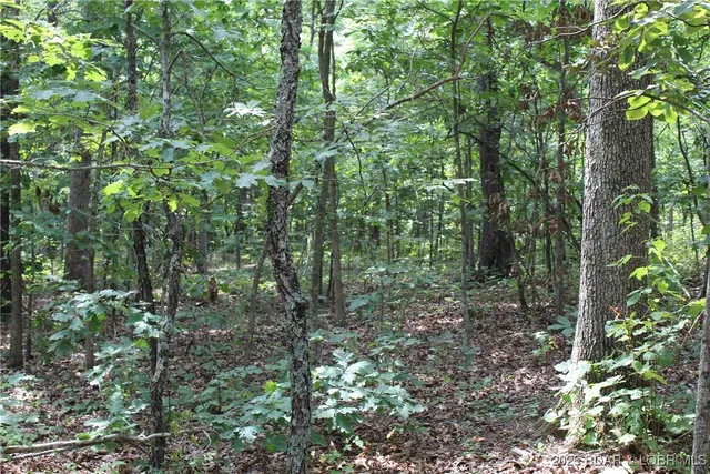 $224,500 | 8470 Spirit Lane, Versailles, MO 65084