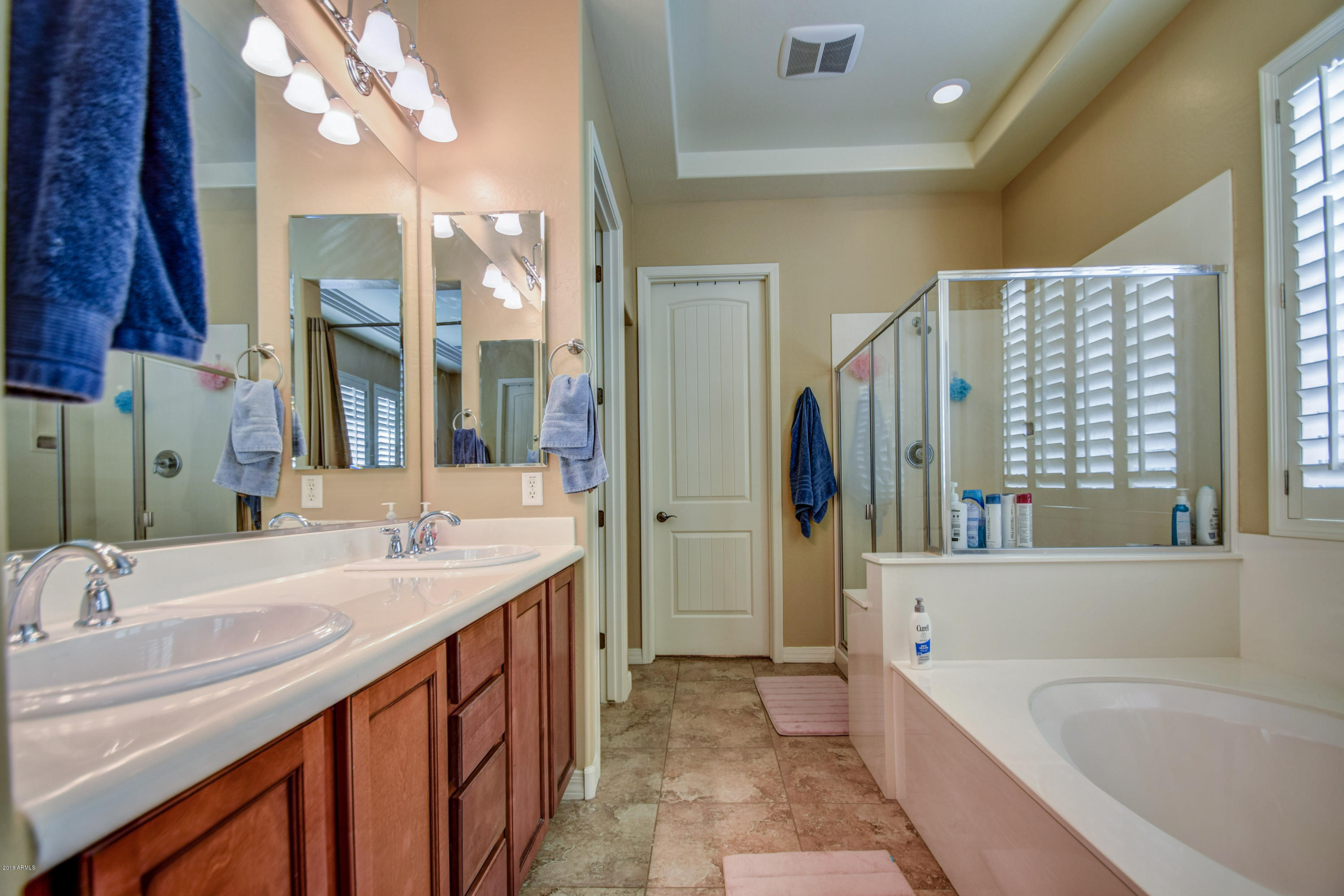3679 East Morrison Ranch Parkway Gilbert, AZ 85296 - Photo 28 of 63 master bath 1